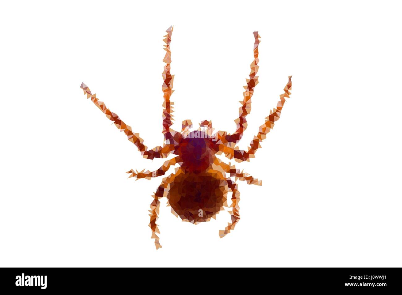 Bassa poli vettore isolato spider, illustrazione astratta Illustrazione Vettoriale