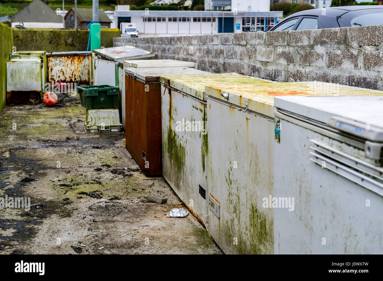 Congelatori utilizzati per memorizzare esca per la pesca a fini commerciali le navi per la pesca a strascico sul dock quay molo in Schull, West Cork, Irlanda. Foto Stock