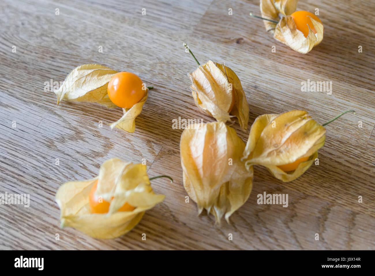 Physalis peruviana aka noto come Capo uva spina modello di rilascio: No. Proprietà di rilascio: No. Foto Stock