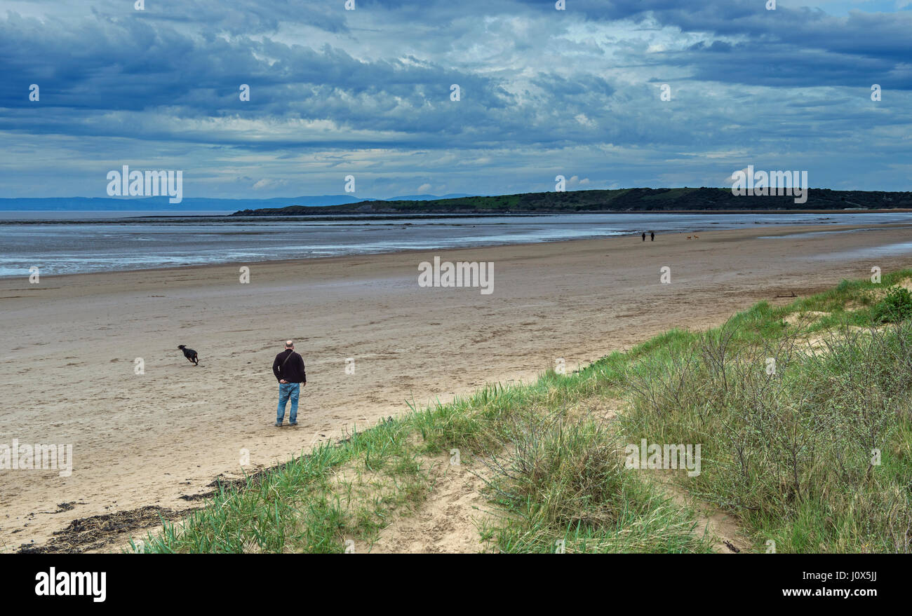 Uomo che cammina sul cane Kewstoke Sands vicino a Weston Super Mare, Somerset Foto Stock Uomo che cammina sul cane Kewstoke Sands vicino a Weston Super Mare, Somerset Foto Stock