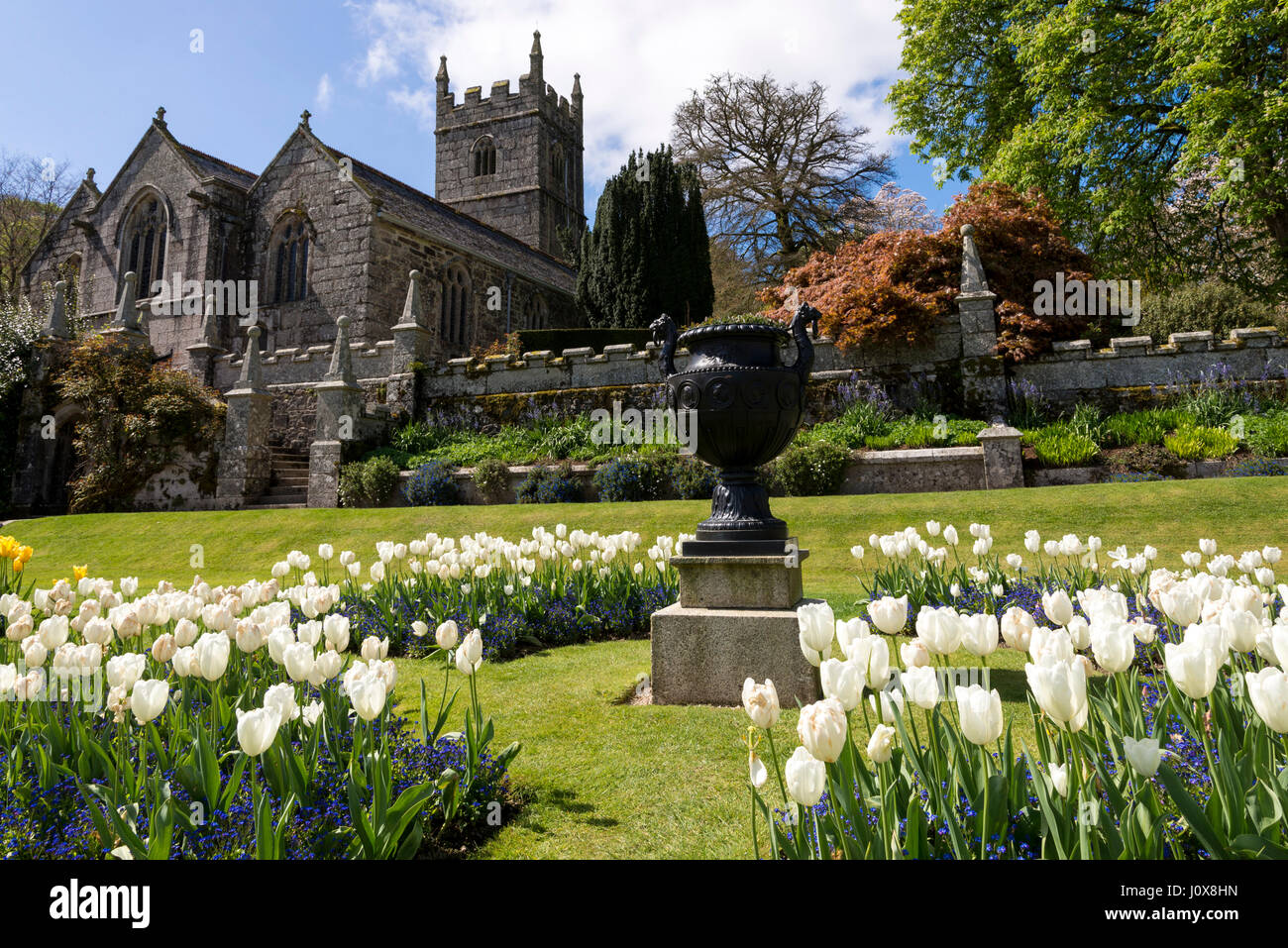 Lanhydrock giardino in primavera Foto Stock