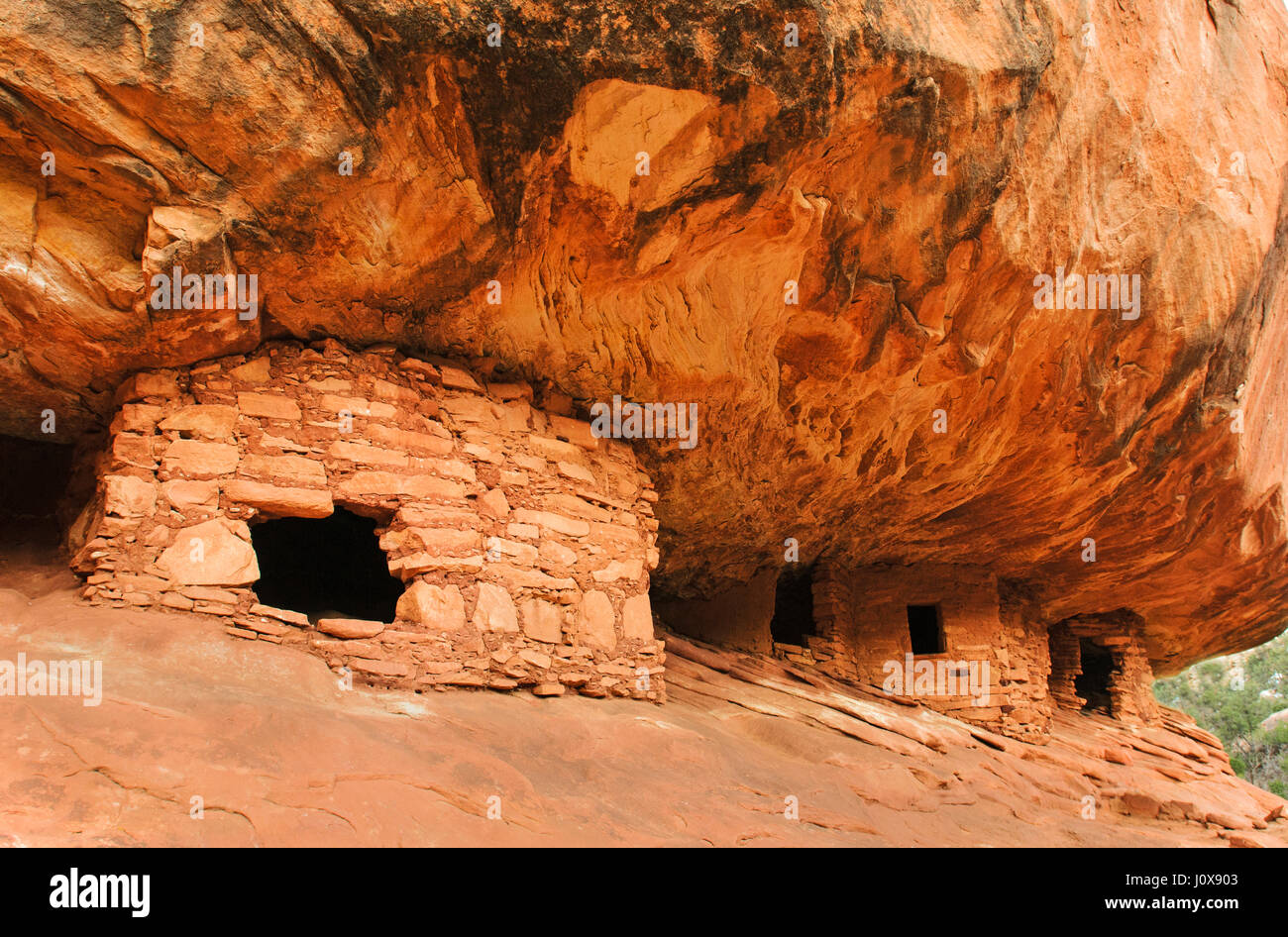 Utah; Cedar Mesa; Mule Canyon; "House on Fire" resti; Anasazi (Pre-Puebloan) Granaio rovine. Foto Stock