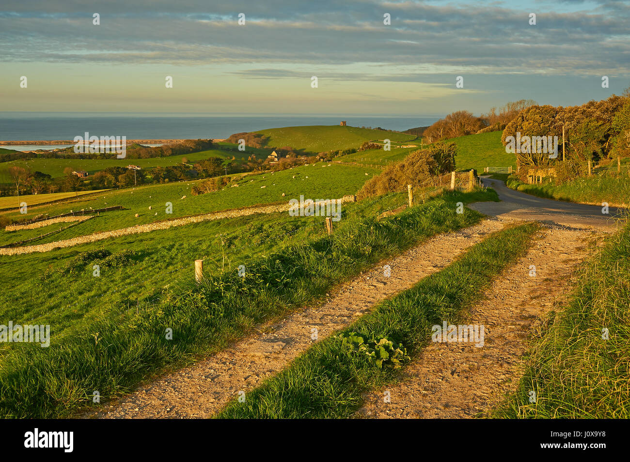 Un inizio di mattina vista attraverso il rotolamento Dorset panorama verso Santa Caterina la cappella e il piccolo villaggio di Abbotsbury. Foto Stock