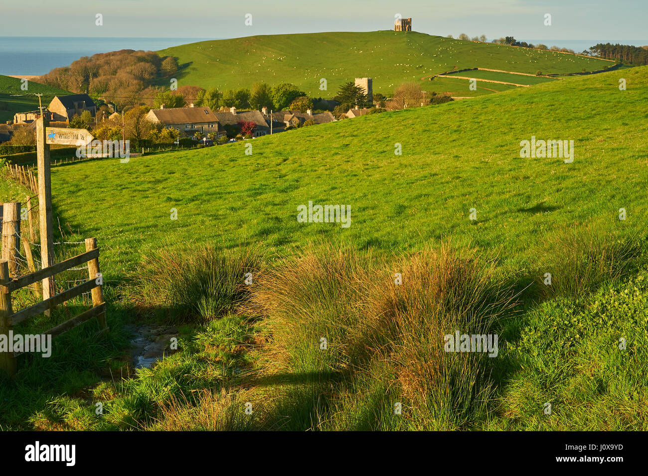 Un inizio di mattina vista attraverso il rotolamento Dorset panorama verso Santa Caterina la cappella e il piccolo villaggio di Abbotsbury. Foto Stock