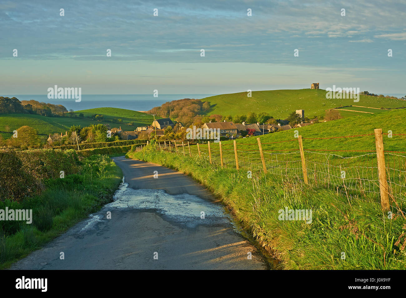 Un inizio di mattina vista attraverso il rotolamento Dorset panorama verso Santa Caterina la cappella e il piccolo villaggio di Abbotsbury. Foto Stock