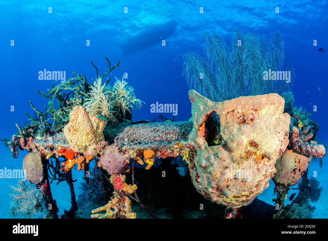Vecchio, coral incrostati di naufragio di una barca ormeggiata al di sopra di esso Foto Stock