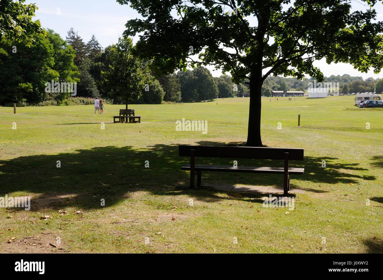 Vista sul comune, Harpenden Hertfordshire Foto Stock