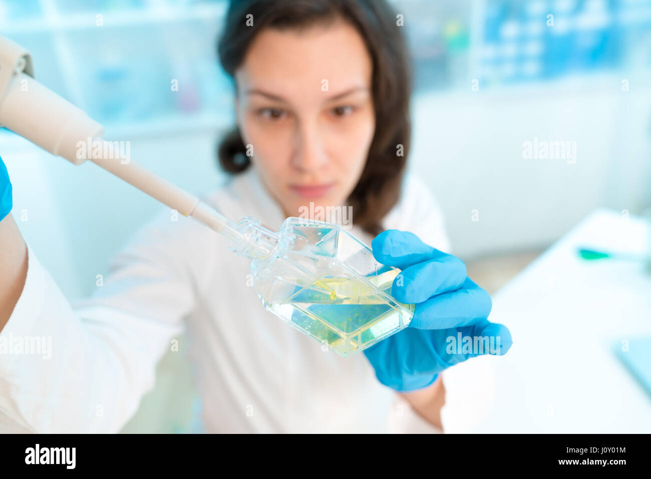 Donna con tecnico multipipette nel laboratorio di genetica ricerca PCR. Ragazza dello studente usare una pipetta. Giovane donna scienziato carichi di campioni per il DNA amplific Foto Stock