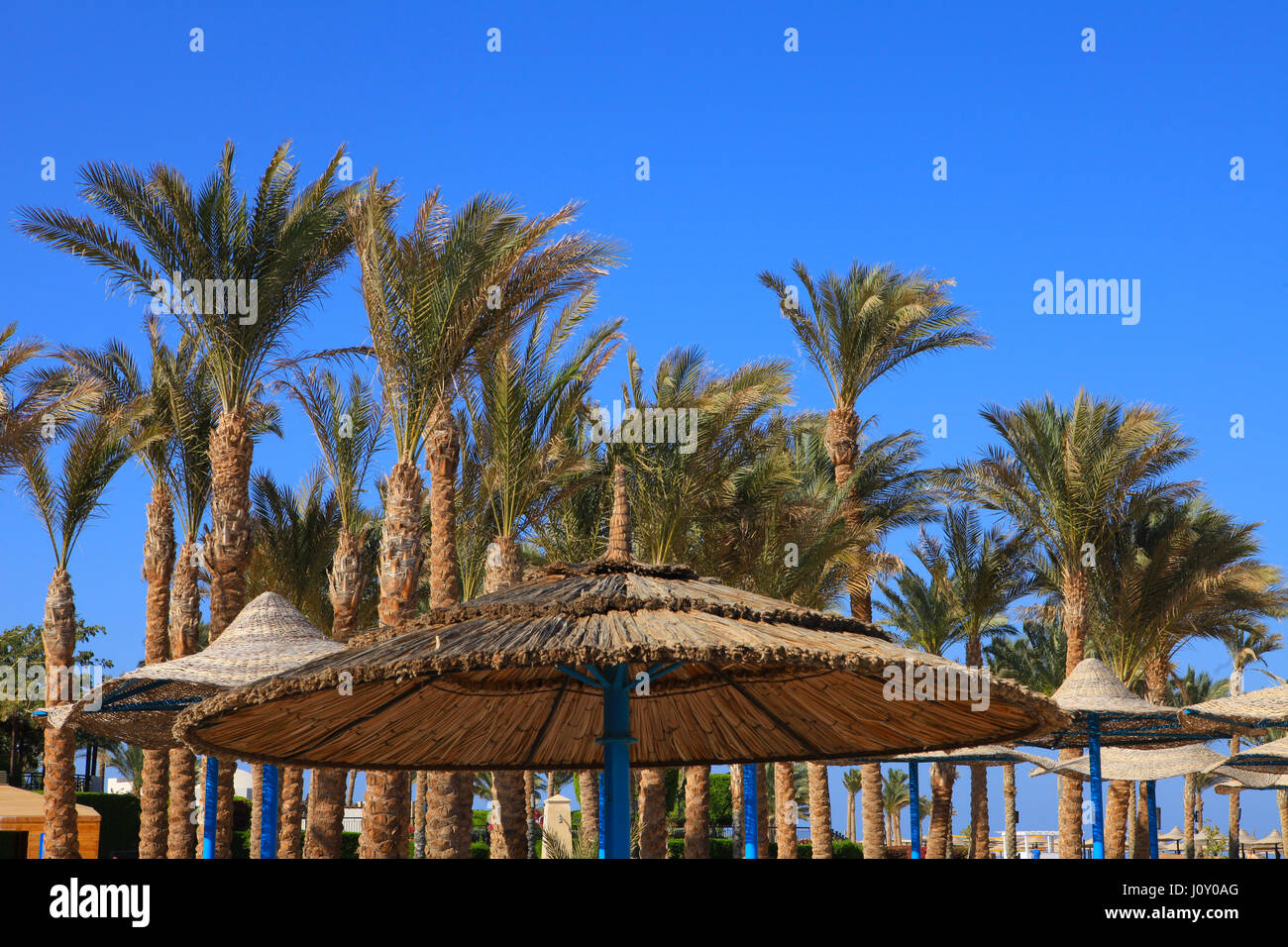 Egyptian ombrellone sulla spiaggia del Mar Rosso. Port Ghalib, Egitto. Foto Stock