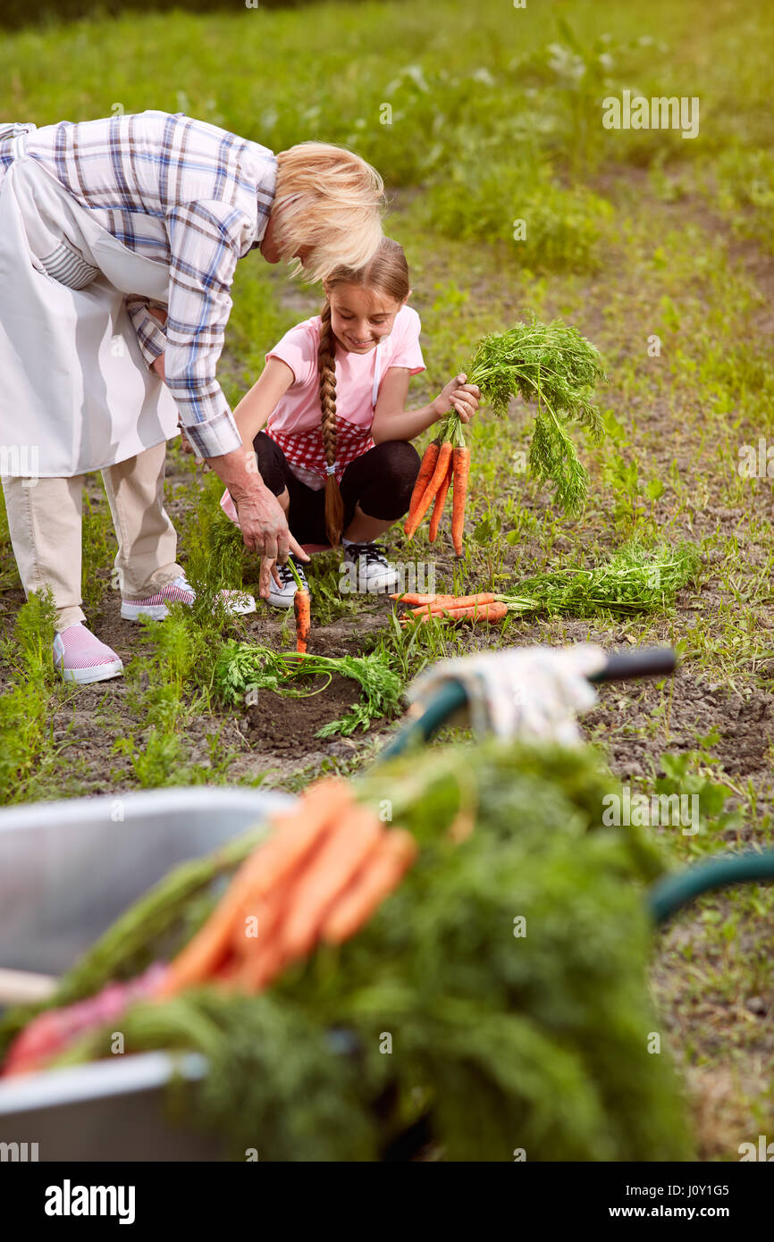Nonna con il suo nipote in giardino tirando fuori le carote Foto Stock