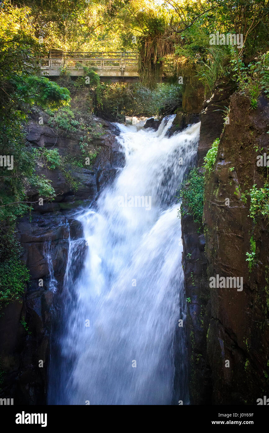 Cascate di Iguassù, Argentina, Brasile Foto Stock