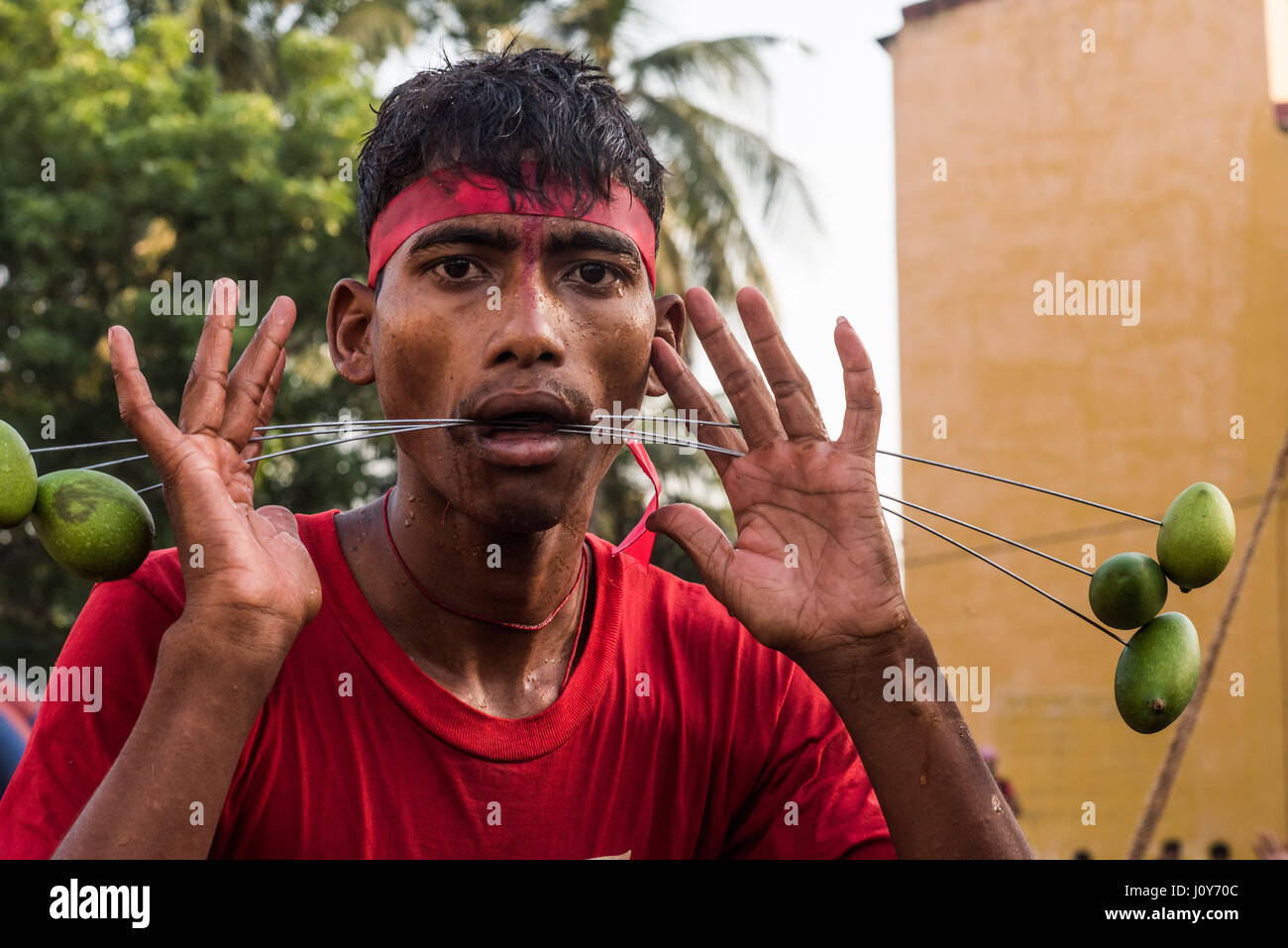 Giovane uomo indiano con spiedini attraverso le sue guance a Gajan e charak festival in Krishnadepur, Bengala occidentale Foto Stock
