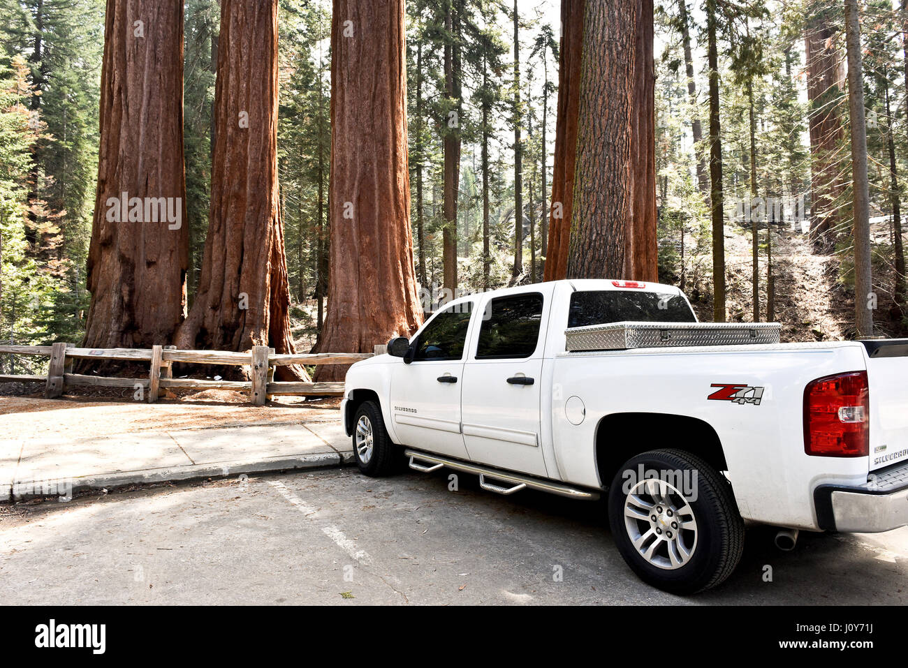 Pickup truck nel Parco Nazionale di Sequoia Foto Stock