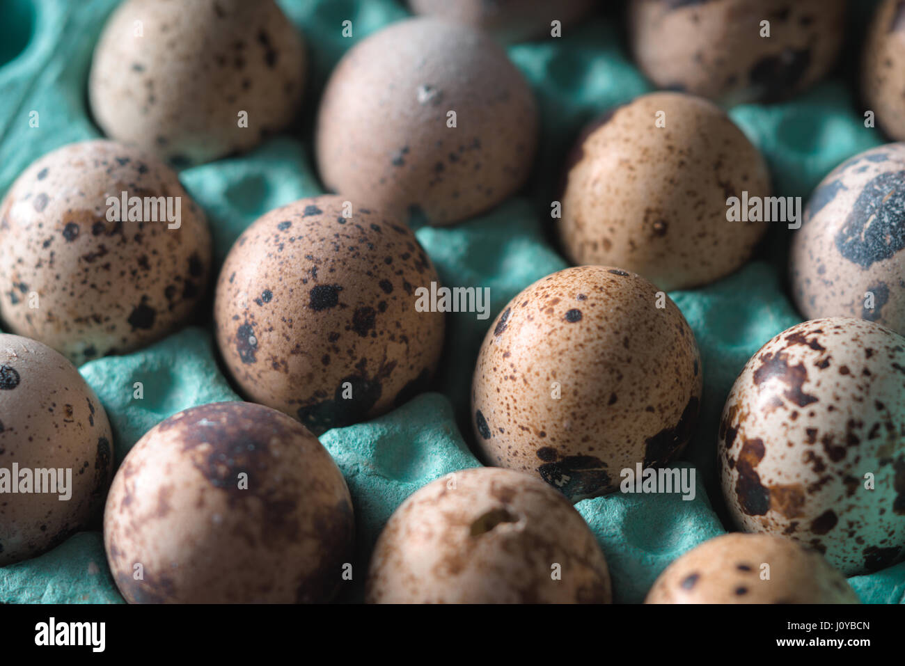 Uova di quaglia nel contenitore panno-up Foto Stock