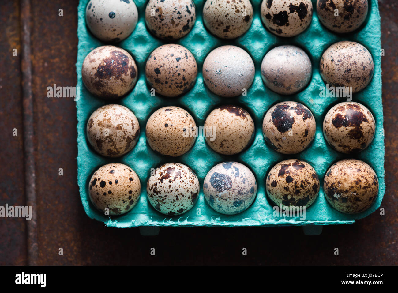 Uova di quaglia nel contenitore sul vecchio sfondo metallica vista superiore Foto Stock
