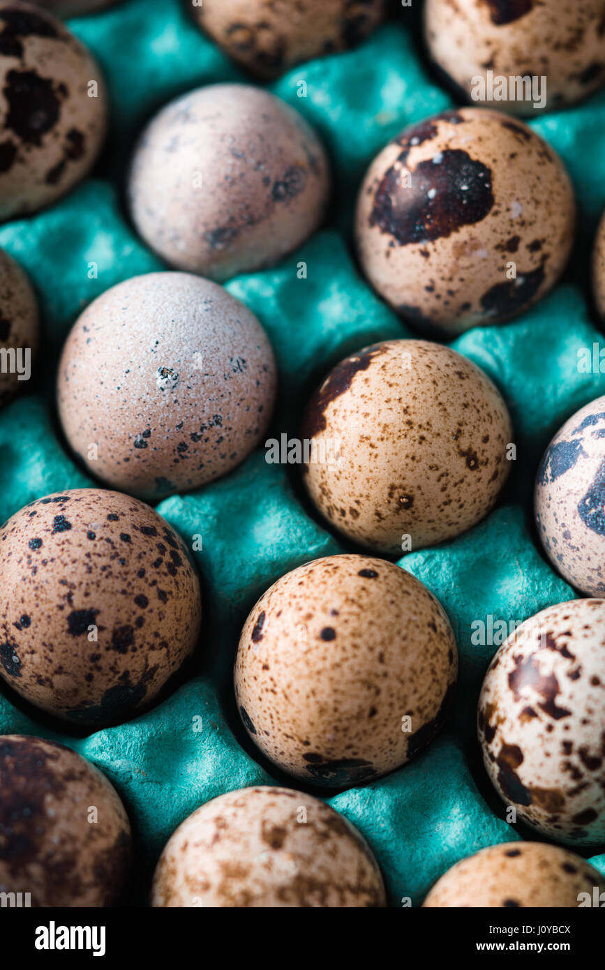 Uova di quaglia nel contenitore verticale Foto Stock