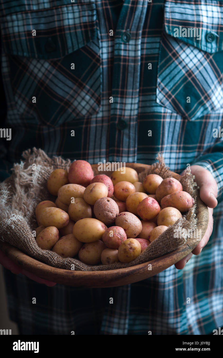 Piatto di legno con materie di patate nelle mani Foto Stock