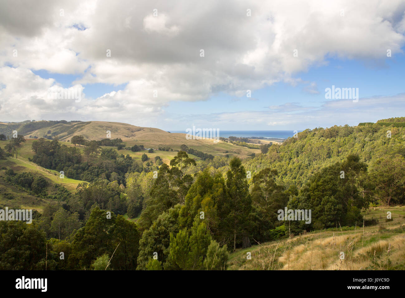 La Great Ocean Road, Victoria, Australia Foto Stock