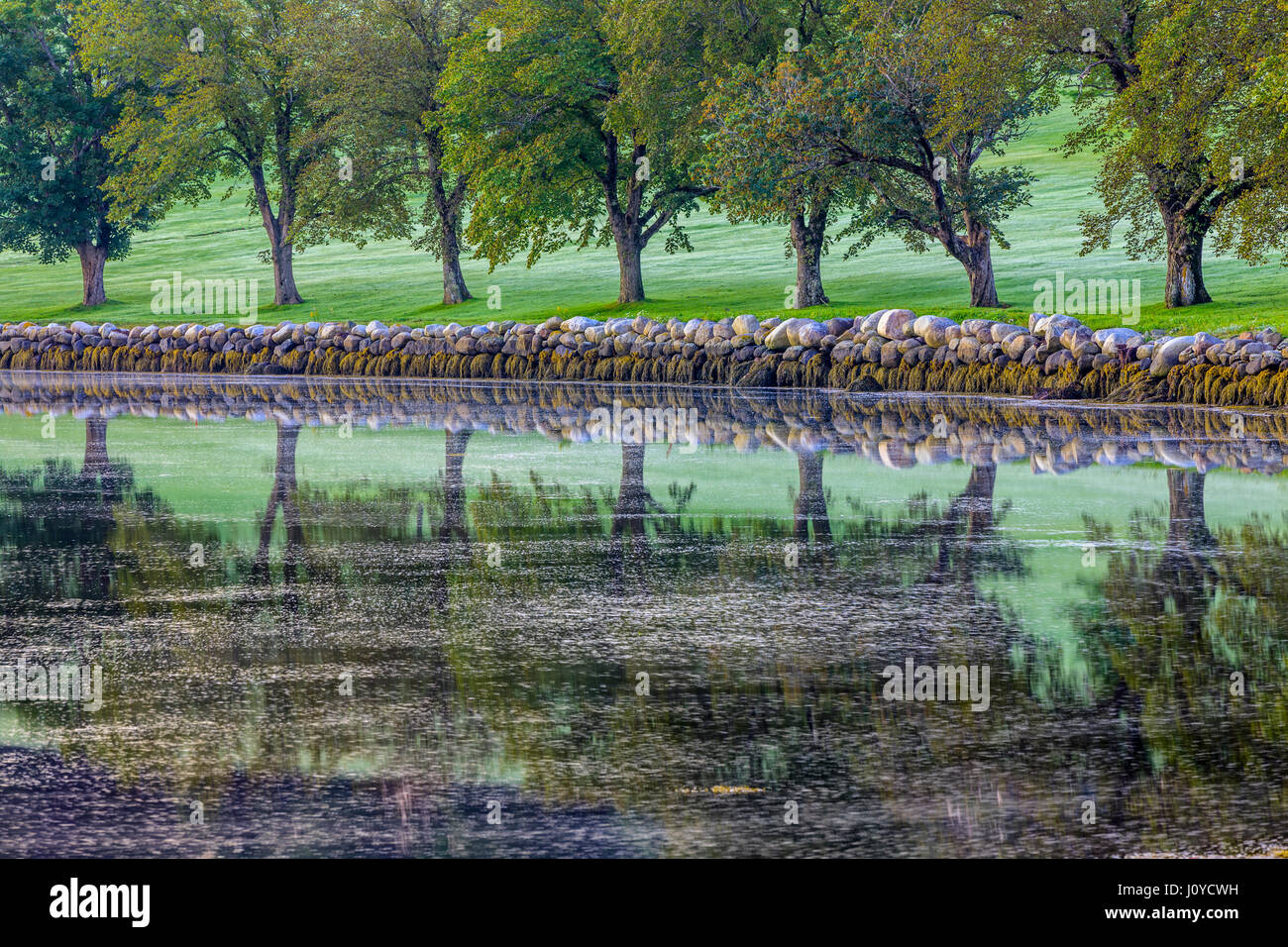 Il campo da golf di Lunenburg Nova Scotia, Canada Foto Stock