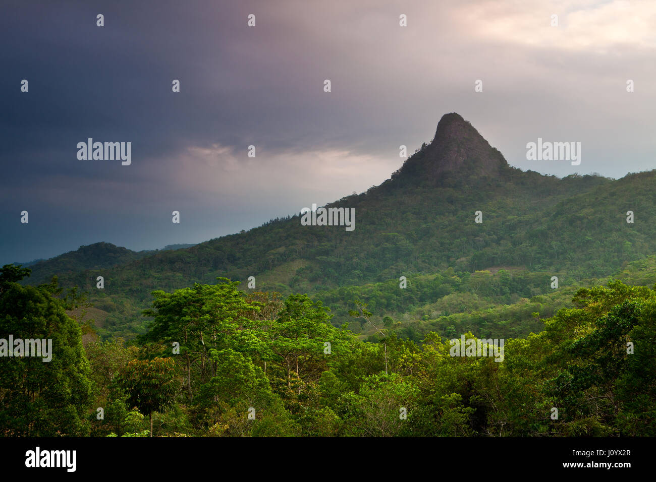 Paesaggio di Panama con luce mattutina a Cerro Chichibali, 525 m, nella Cordillera Centrale, provincia di Colle, Repubblica di Panama, America Centrale Foto Stock