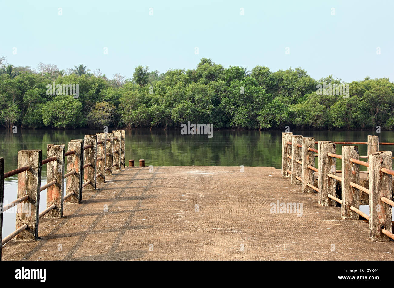 Tranquilla scena di Sarmanas molo tra la foresta di mangrovie nel fiume Mandovi in Goa, India Foto Stock