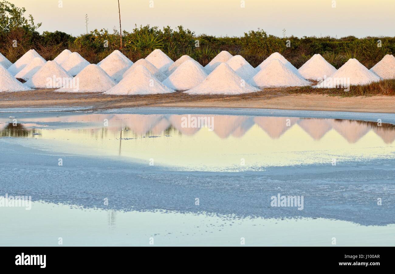 Sollevate i coni di sale, sale grezzo, soluzione salina a El Cujo, Messico Foto Stock