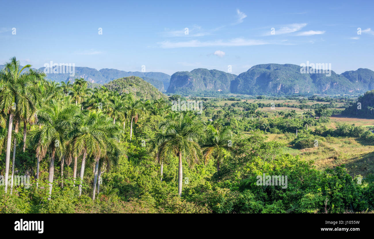 Panorama di Vinales Valley, Cuba Foto Stock