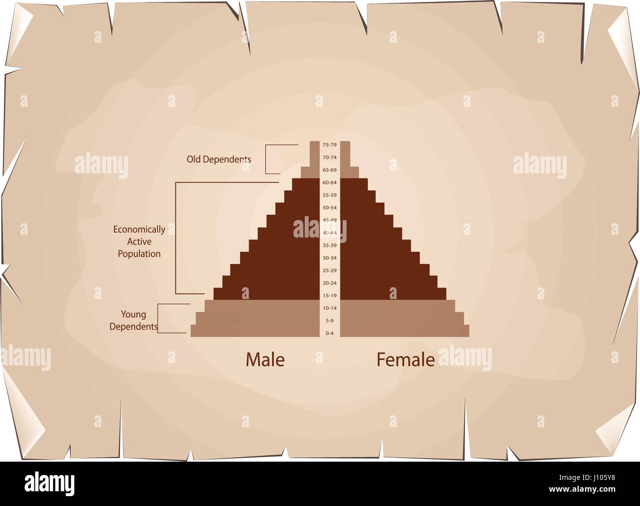 Popolazione e demografia, Illustrazione di dettaglio delle piramidi di popolazione grafico o la struttura di età grafico sulla Antica Vintage Grunge Texture della carta indietro Illustrazione Vettoriale