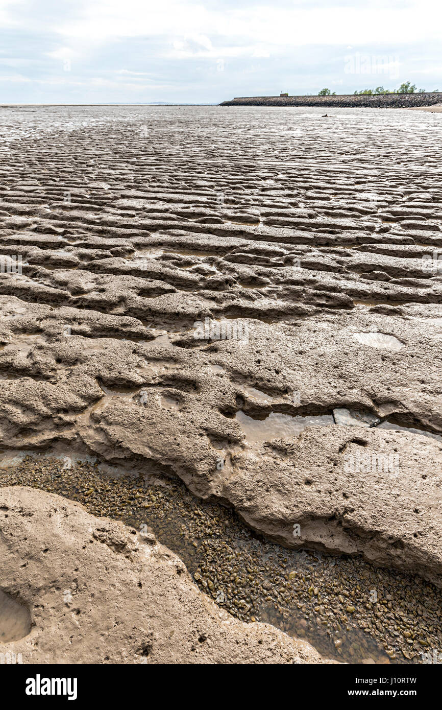 Ripples sgommati in argilla e fangoso letto del mare con la bassa marea, Goldcliff sui livelli di Gwent, Wales, Regno Unito Foto Stock