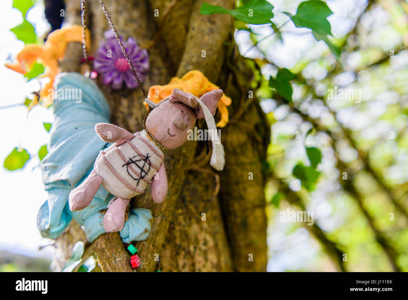 Bambini giocattoli morbidi, perline e comfort coperte su un albero ad un santo irlandese ben santuario. Foto Stock
