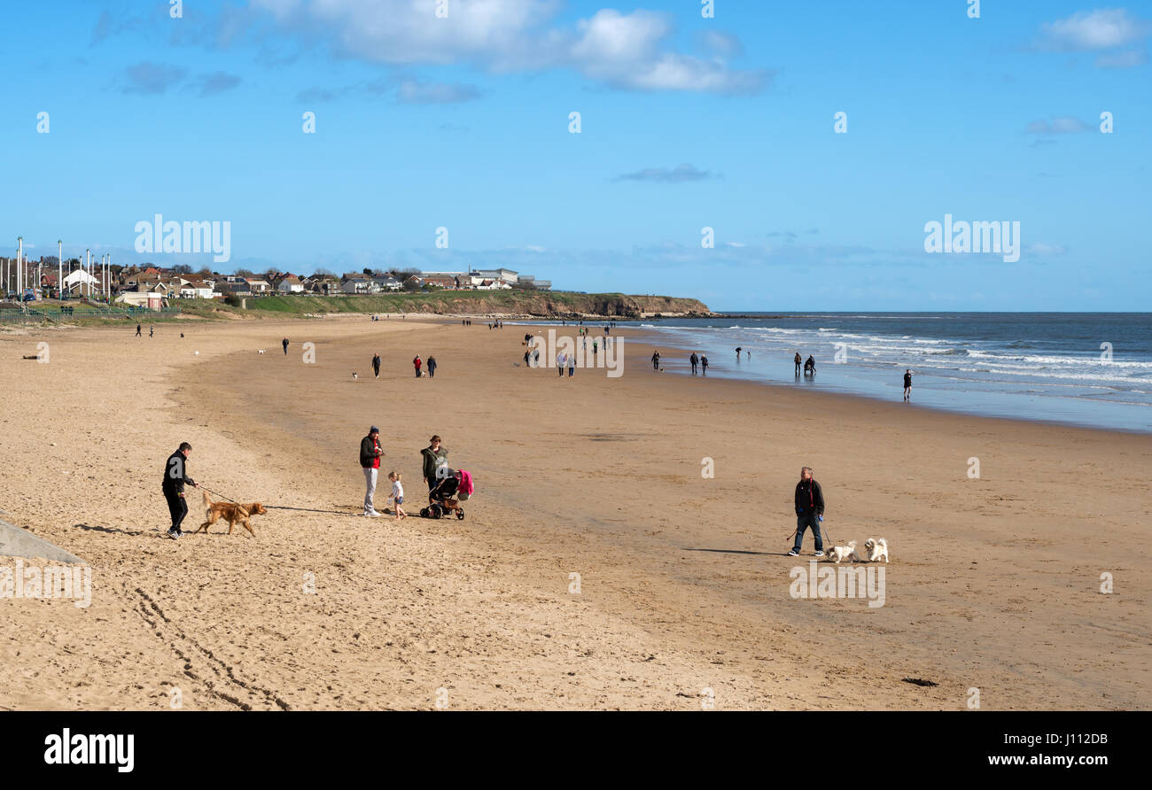La gente camminare cani sulla spiaggia a Seaburn, lunedì di Pasqua 2017, Sunderland, England, Regno Unito Foto Stock