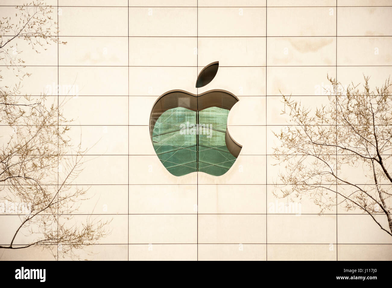 Logo Apple, Apple store Chicago marchio, marchio scolpite nella parte anteriore del negozio a Chicago, Illinois, Stati Uniti d'America. Foto Stock