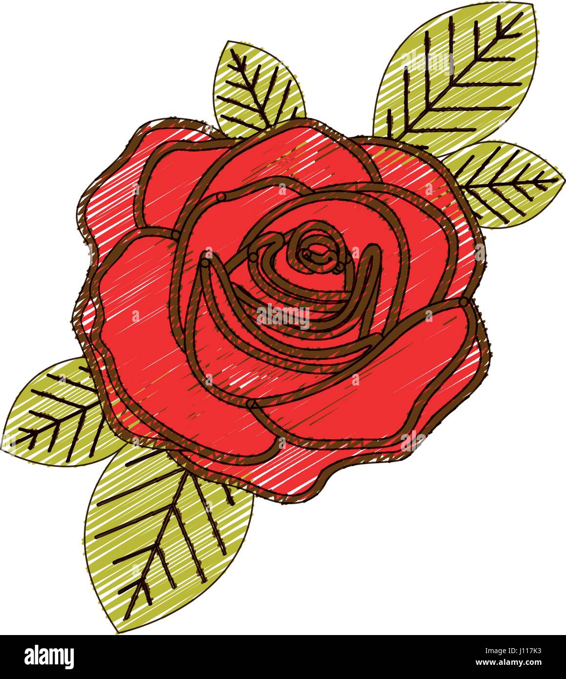 Disegno a matita colorata di rosso fiore rosa con foglie closeup Immagine e  Vettoriale - Alamy