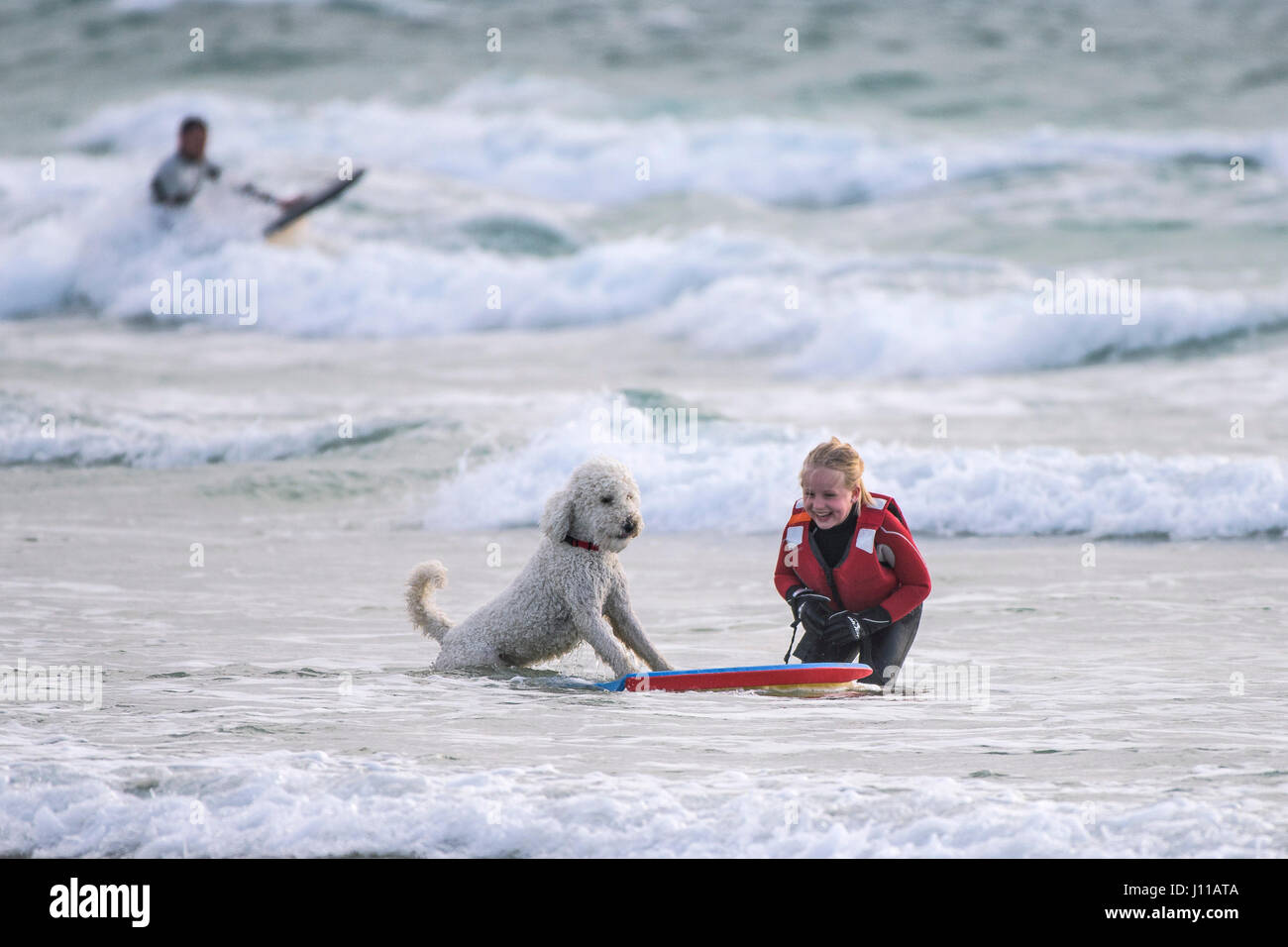 Ragazza ridere Bodyboarding mare cane giocando Pet Portugese cane di acqua giocoso compagno migliore amico cane di razza friendly spiaggia Fistral Cornovaglia Foto Stock