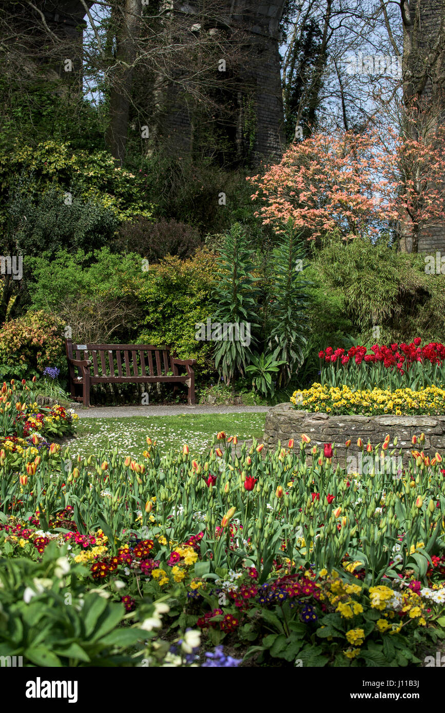 Parco Trenance Newquay fioriture dei fiori piuttosto colorato colorato Sedile unico attrazione turistica Parco Paesaggistico di Cornovaglia Foto Stock