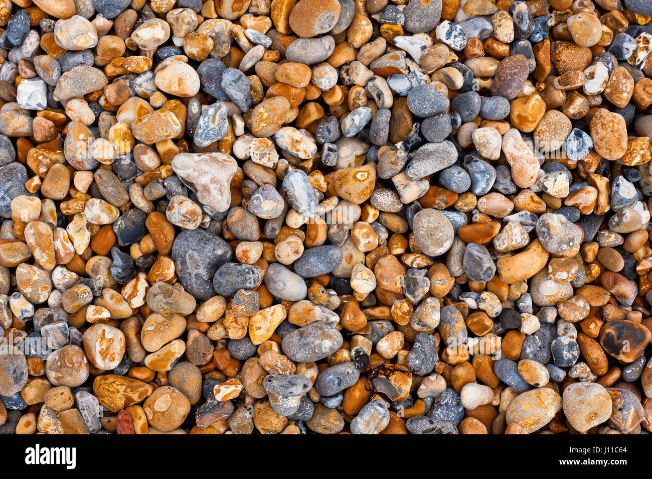 Vista in elevazione del coloratissimo ciottoli e pietre su una spiaggia Foto Stock