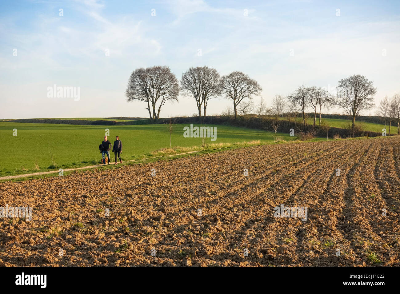 Giovane a piedi, paesaggio, paesaggio con terreni coltivati, in inverno, Limburgo, Paesi Bassi. Foto Stock