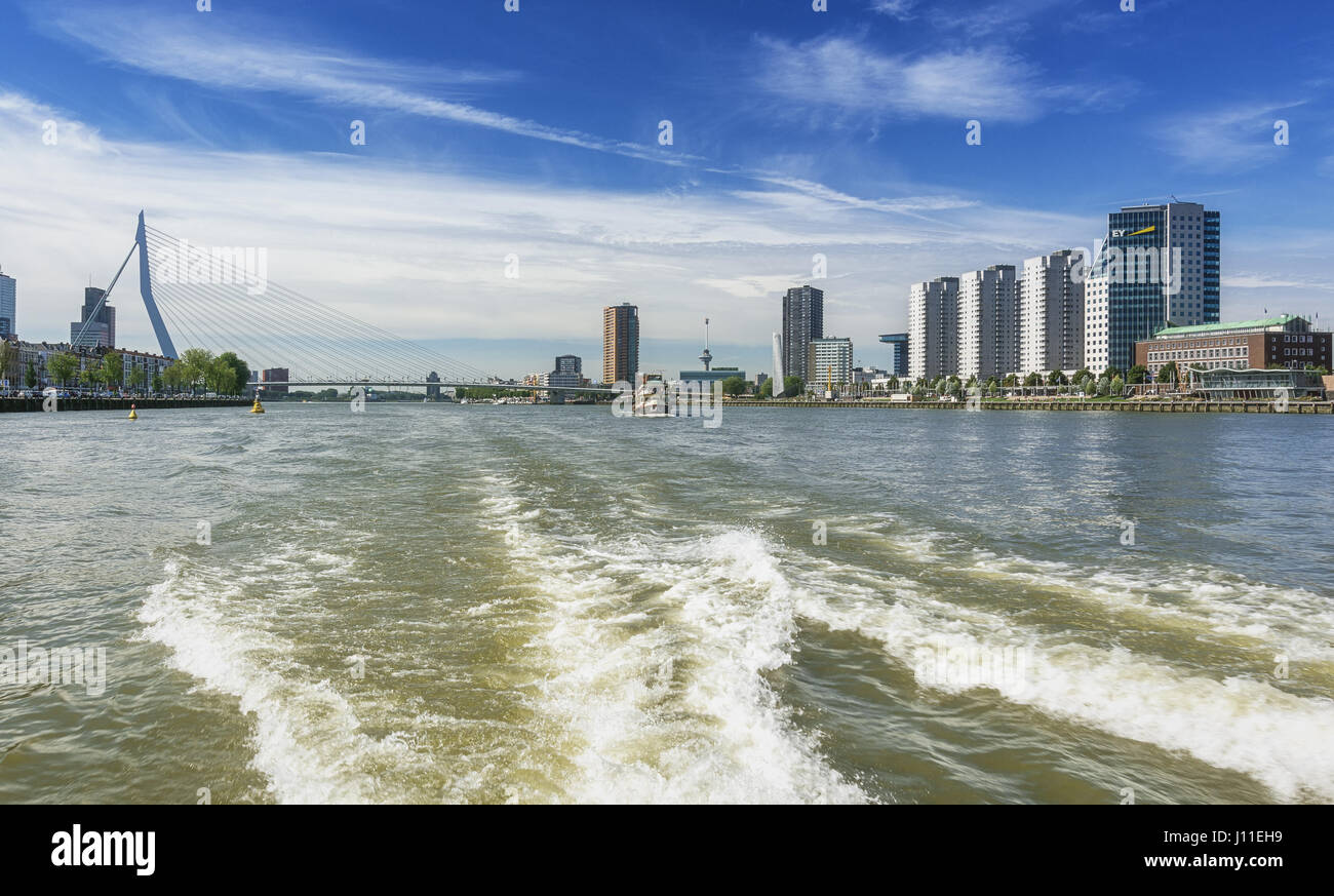 Rotterdam, Paesi Bassi - 18 agosto 2016: Rotterdam visto dall'acqua, Paesi Bassi Foto Stock