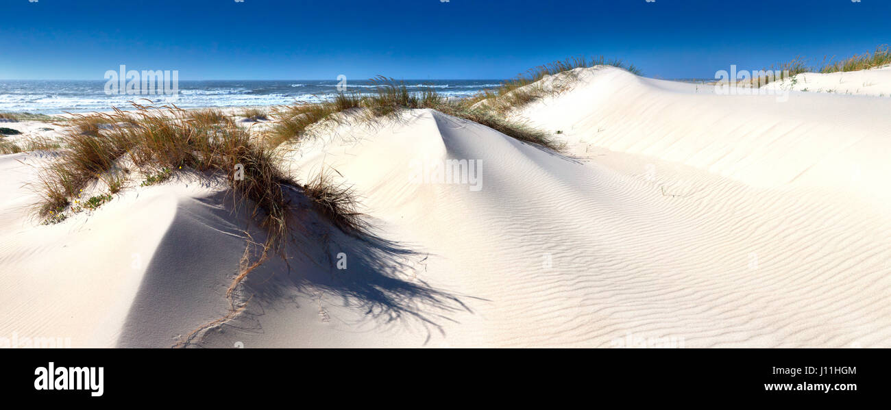 Dune bianche di Sao Jacinto, Aveiro, Portogallo. Pt. III Foto Stock