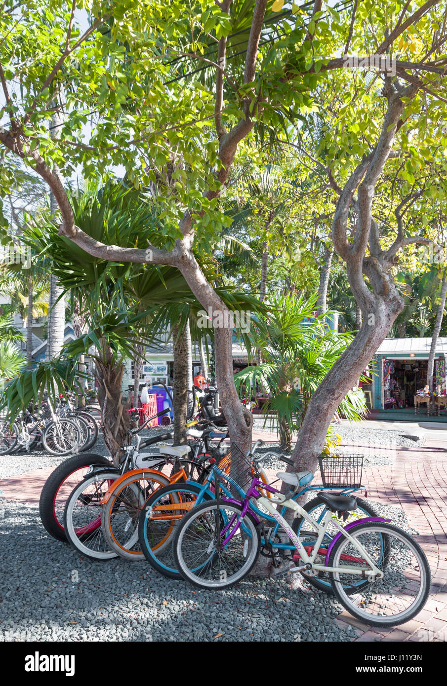 Storico Fisherman's Wharf a Key West, Florida. Foto Stock