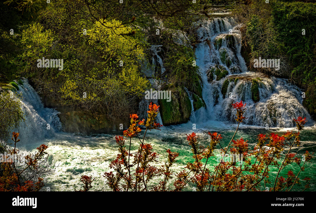 Dalmazia Croazia Parco nazionale di Krka - Skradin- Skradinski Buk - cascata Foto Stock