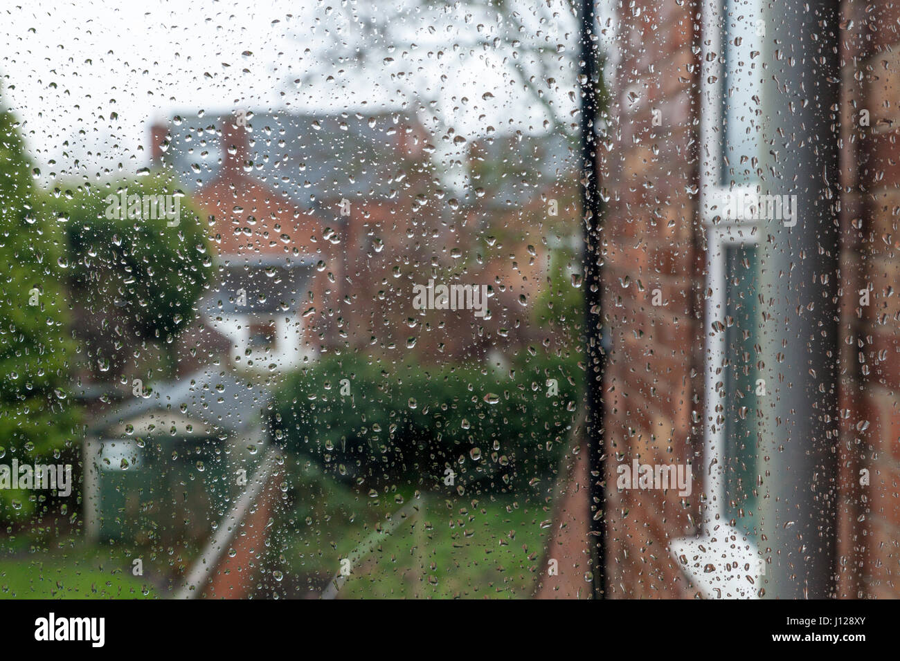 Il maltempo. Guardando fuori attraverso una finestra con gocce di pioggia su di esso per giardini e altre case in un giorno di pioggia, England, Regno Unito Foto Stock