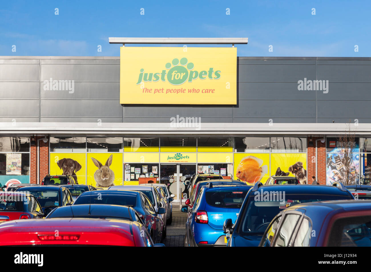 Solo per animali domestici store, Sneinton, Nottingham, Inghilterra, Regno Unito Foto Stock