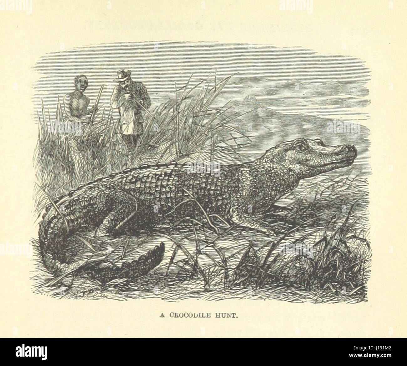 Immagine presa da pagina 253 di "Stories del paese di gorilla, etc' Foto Stock