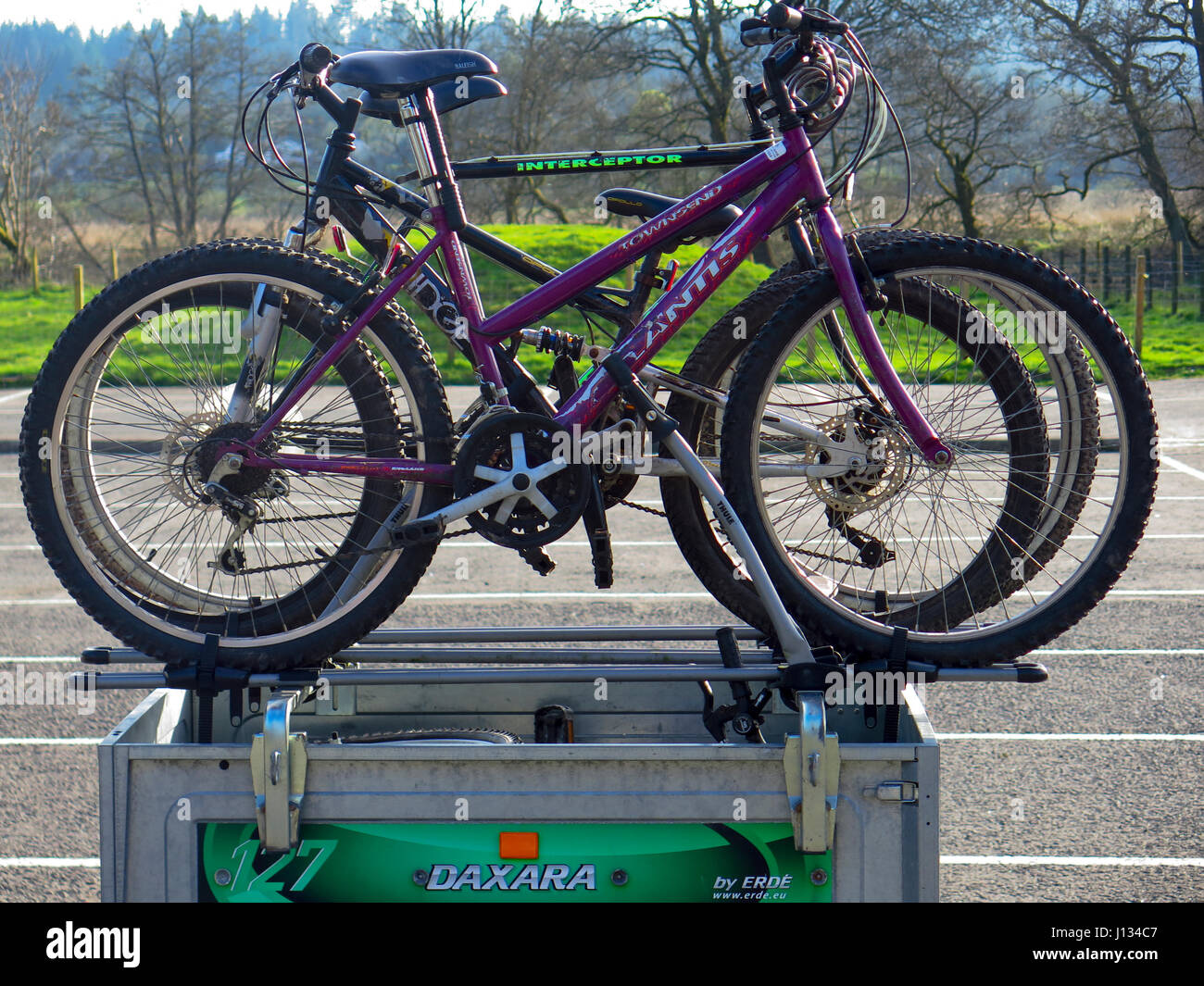 Mountain bike su rack su rimorchio Foto Stock