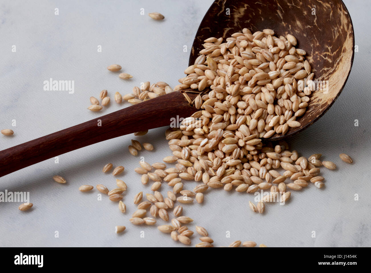 Orzo perlato grano in un guscio di tartaruga cucchiaio. Foto Stock