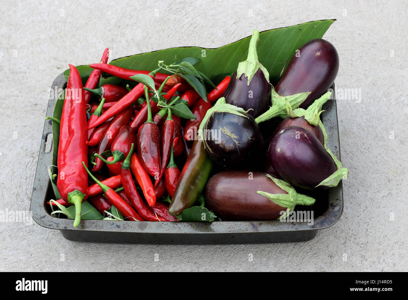 Appena raccolto homegrown Black Beauty melanzane e chilis Foto Stock
