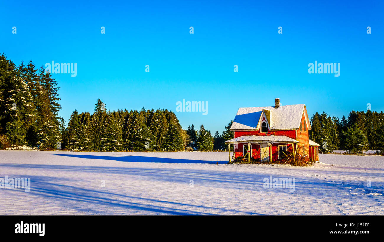 Rosso e fatiscente casa abbandonata in un bianco coperto di neve in campo Glen Valle del Fraser Valley della British Columbia, Canada sotto il cielo blu chiaro Foto Stock