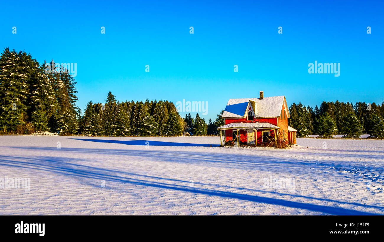 Rosso e fatiscente casa abbandonata in un bianco coperto di neve in campo Glen Valle del Fraser Valley della British Columbia, Canada sotto il cielo blu chiaro Foto Stock