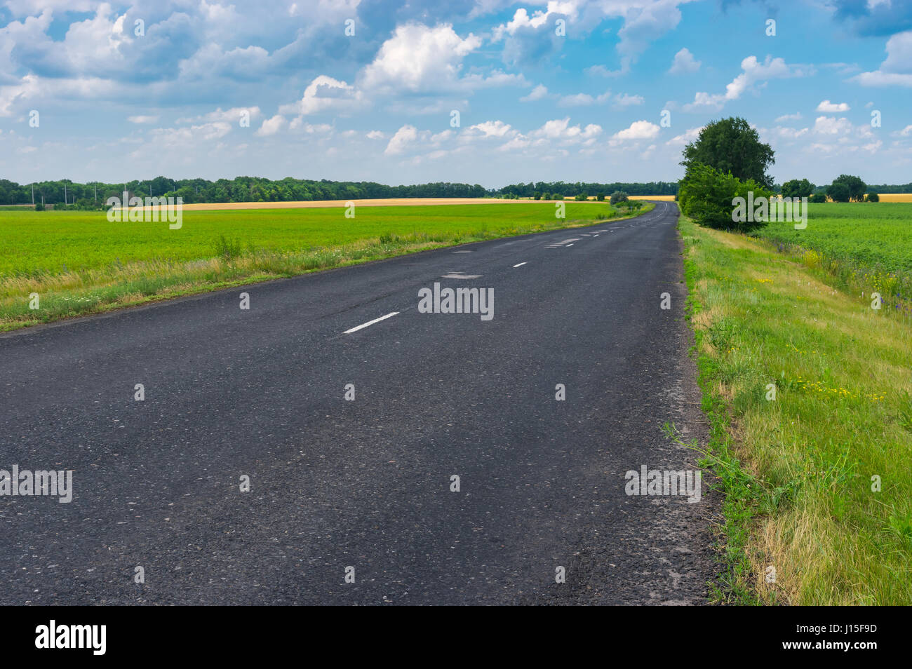 Classico paesaggio estivo con asfalto strada rurale in Ucraina centrale Foto Stock